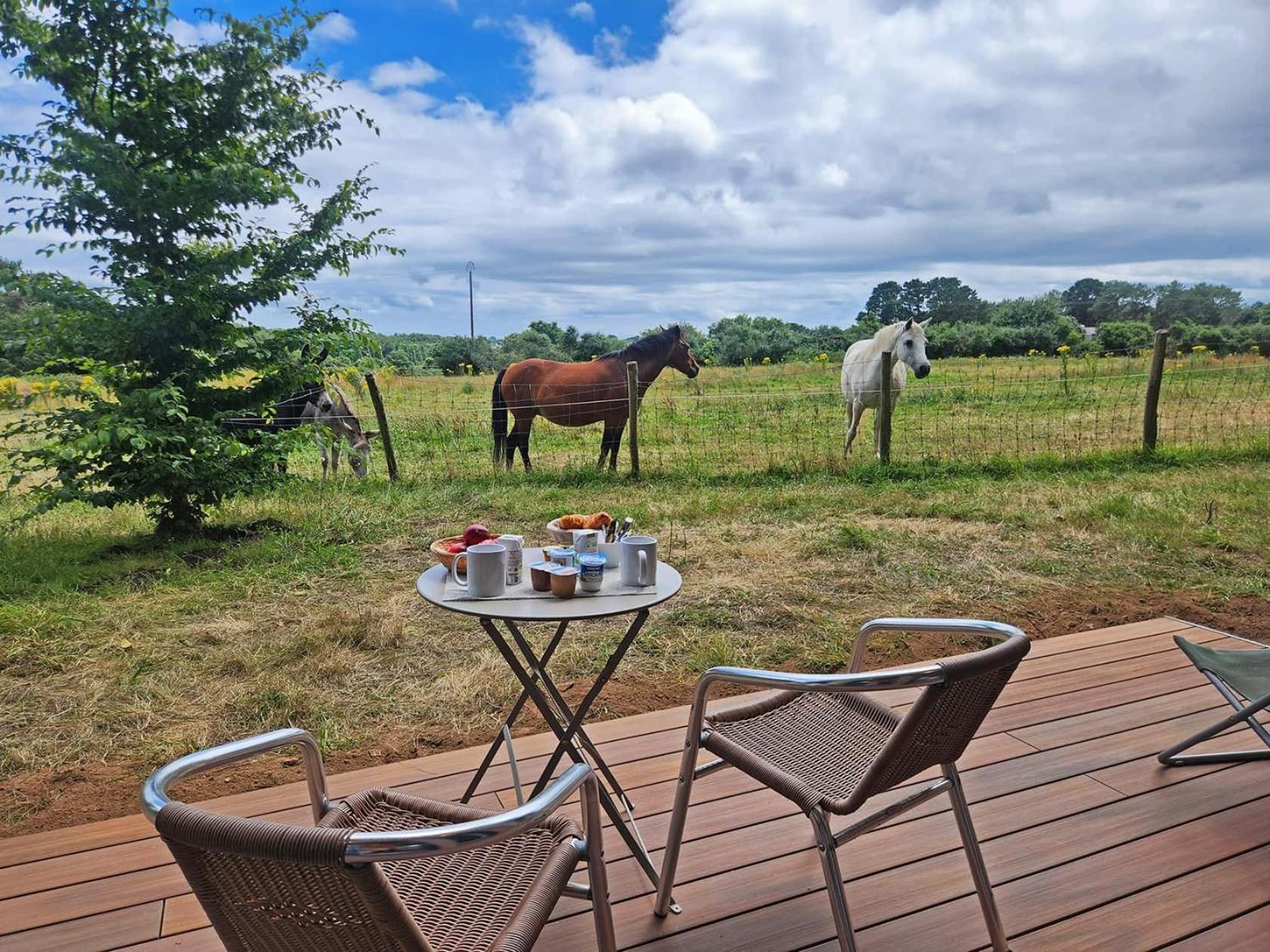 Gites & Tiny Houses Les Hauts De Toulvern Baden Quarto foto