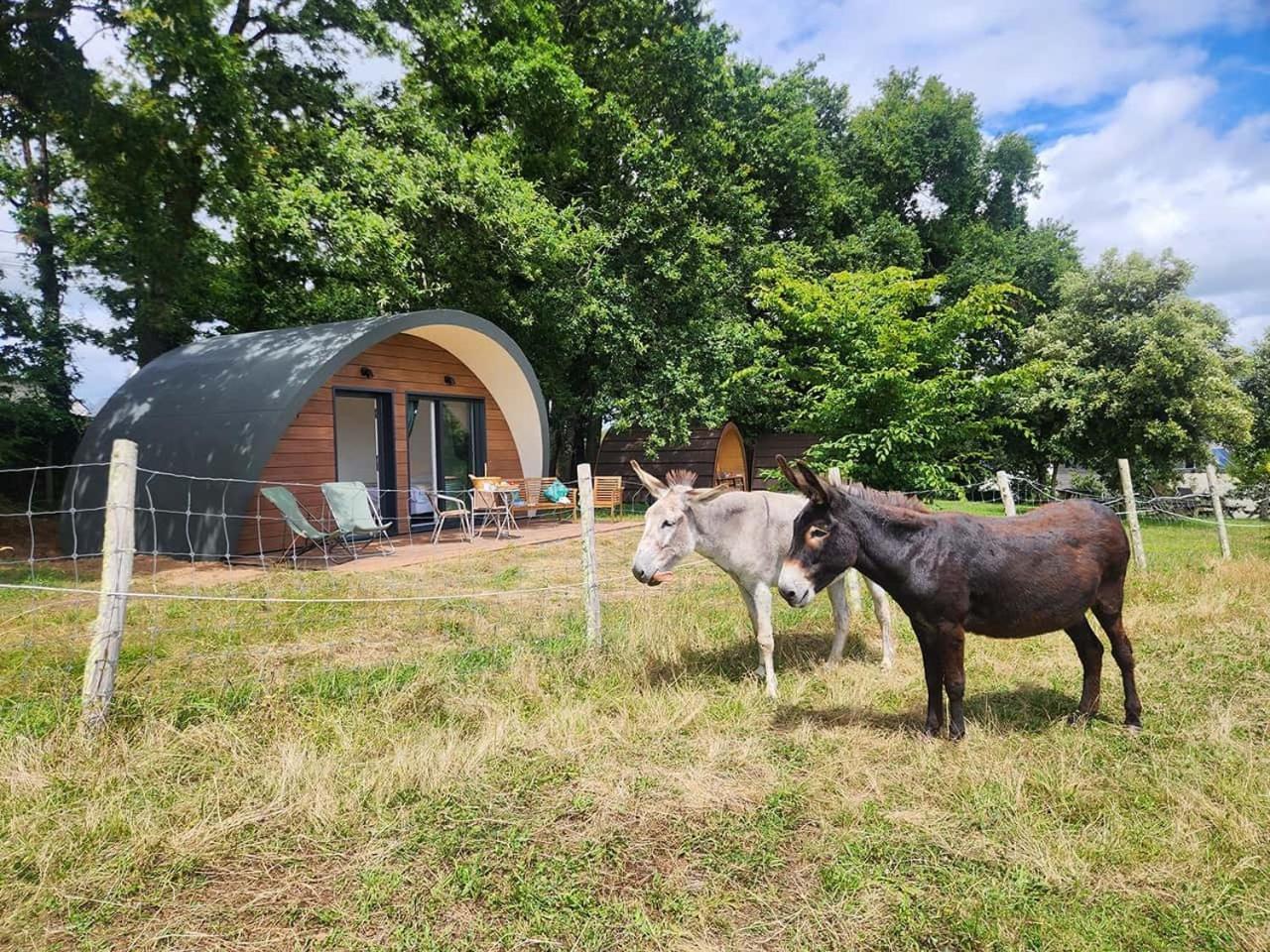 Gites & Tiny Houses Les Hauts De Toulvern Baden Quarto foto