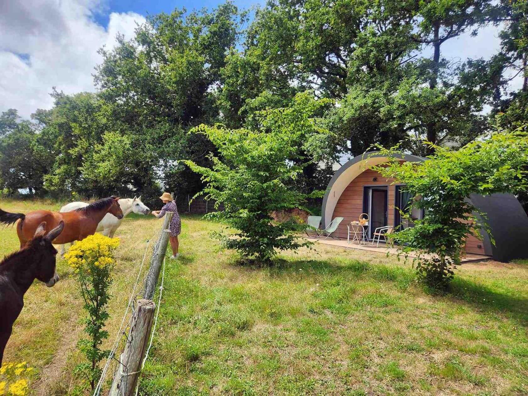 Gites & Tiny Houses Les Hauts De Toulvern Baden Quarto foto