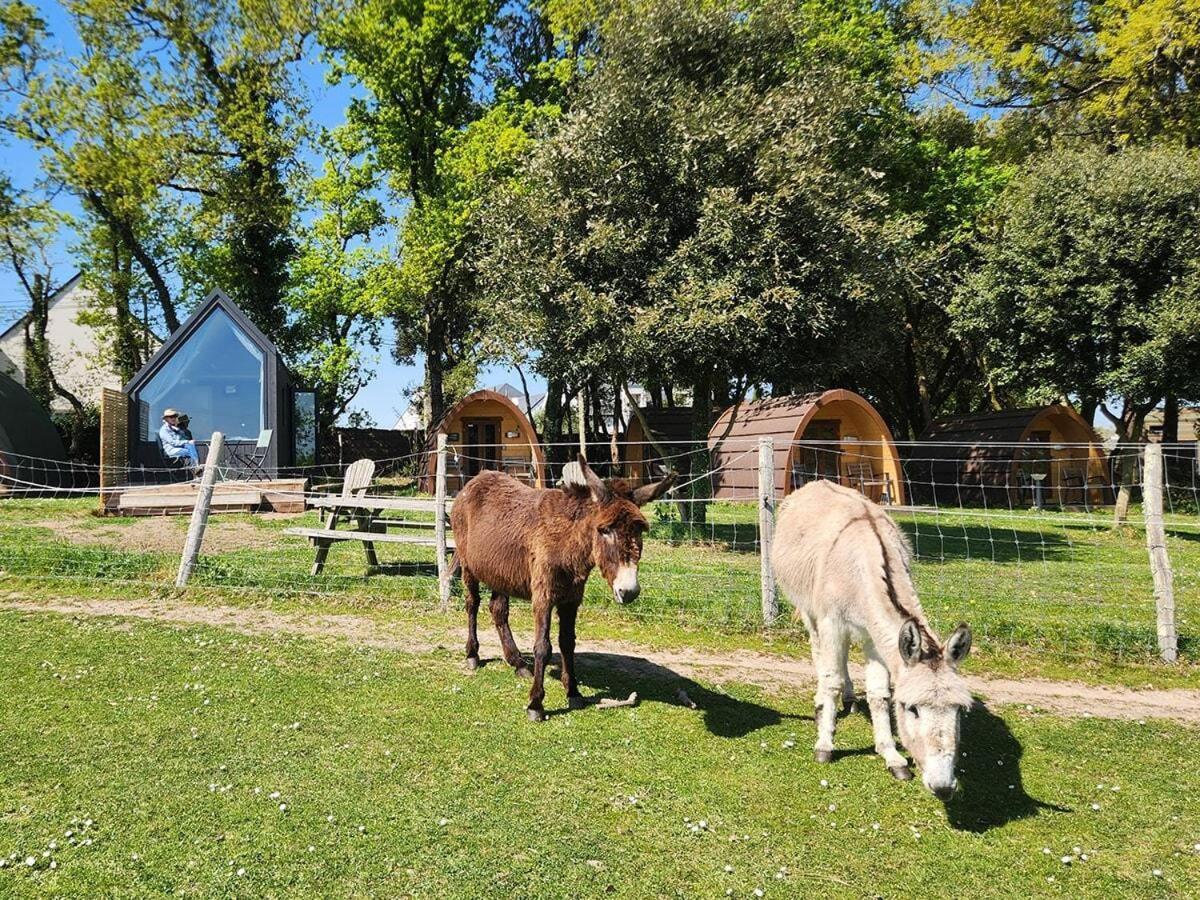 Gites & Tiny Houses Les Hauts De Toulvern Baden Quarto foto